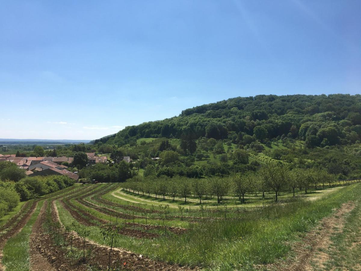 Chambres d’hôtes la bottée Vieville-sous-les-Cotes Esterno foto