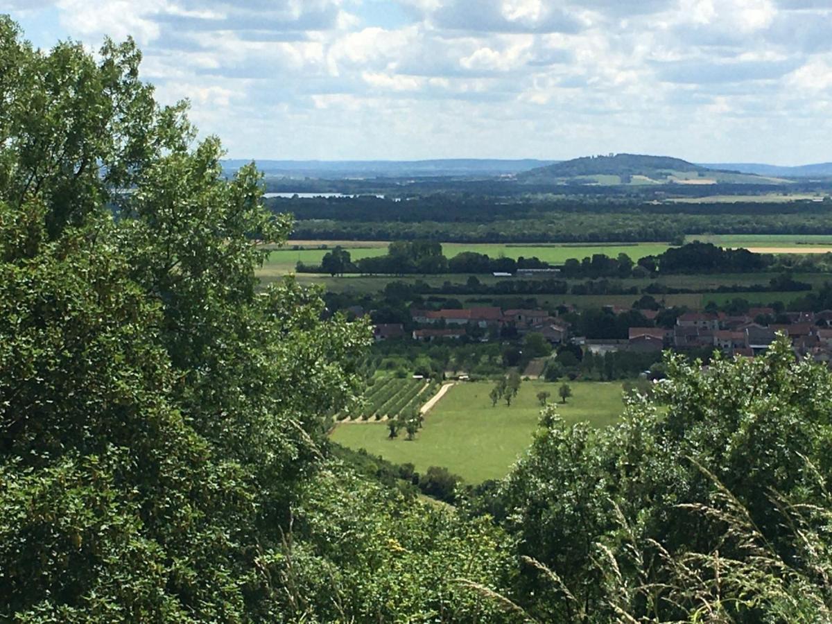 Chambres d’hôtes la bottée Vieville-sous-les-Cotes Esterno foto