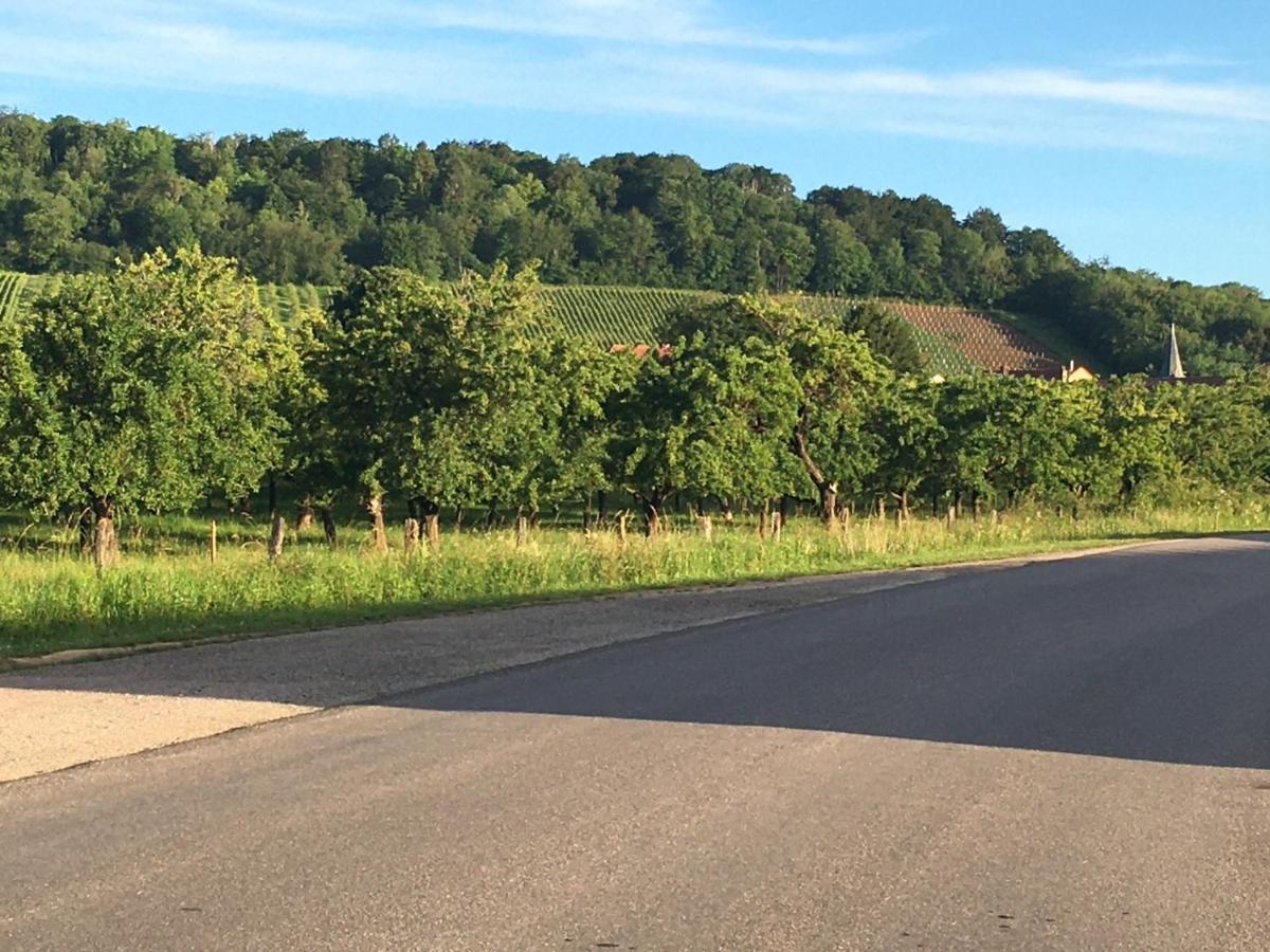Chambres d’hôtes la bottée Vieville-sous-les-Cotes Esterno foto